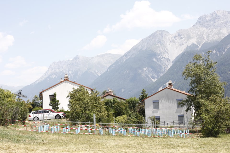 Am Rande der Gemeinde Scuol wurden die Weinreben gepflanzt.