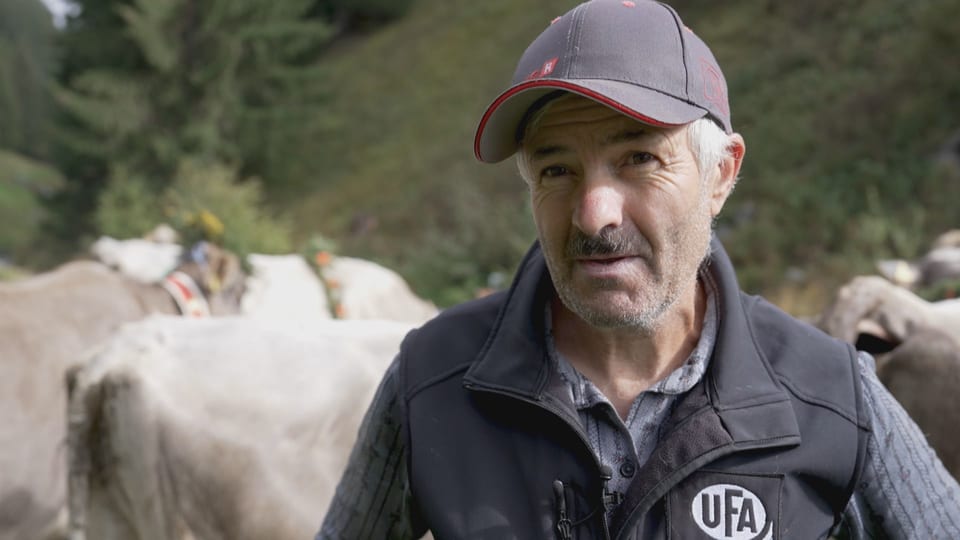 Il cau da las alps a Breil Mario Seiler. 