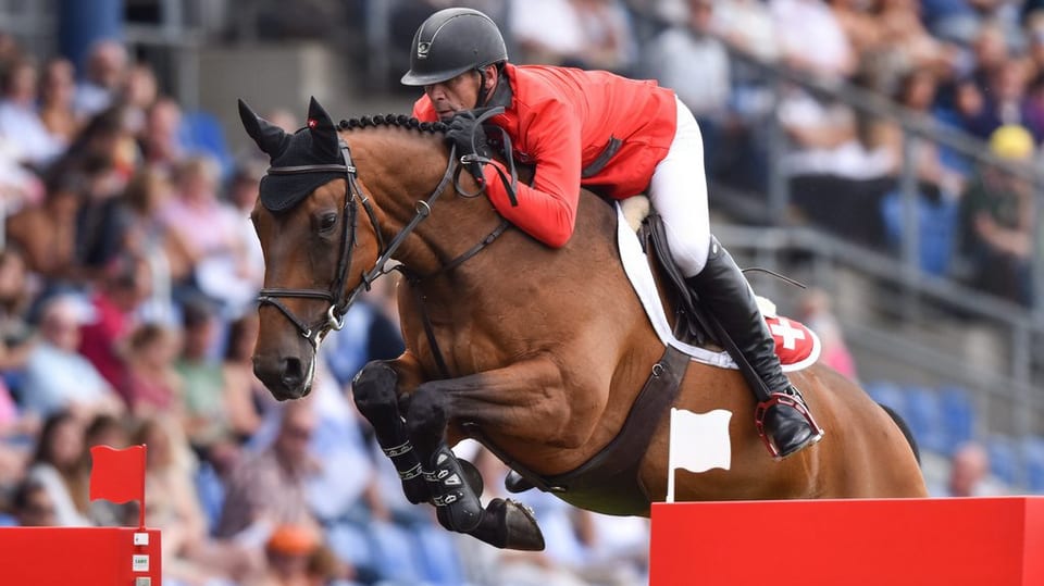 Il chavaltgader Paul Estermann siglia cun ses chavagl sur in obstachel. 