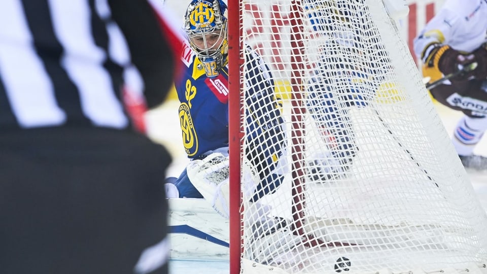 hockeyan en il gol.