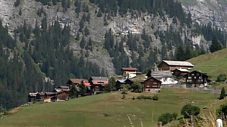 pigniu