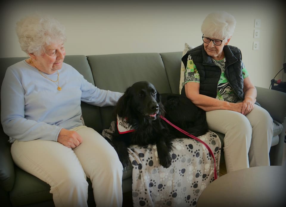 Die zwei Bewohnerinnen von Kantengut mit dem Therapiehund Diena. 