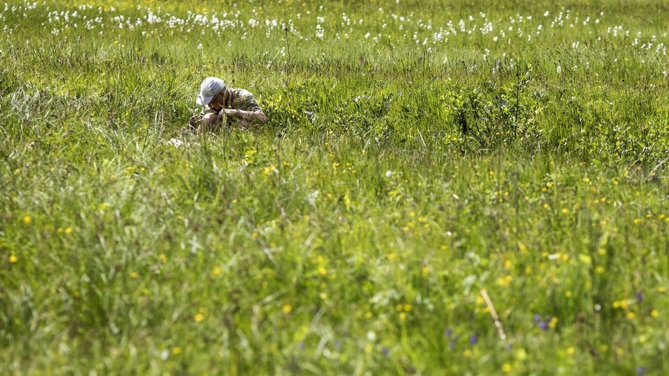 Ina prada biodiversa.