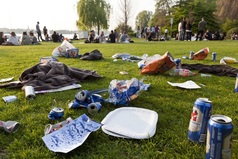 Littering auf einer Wiese