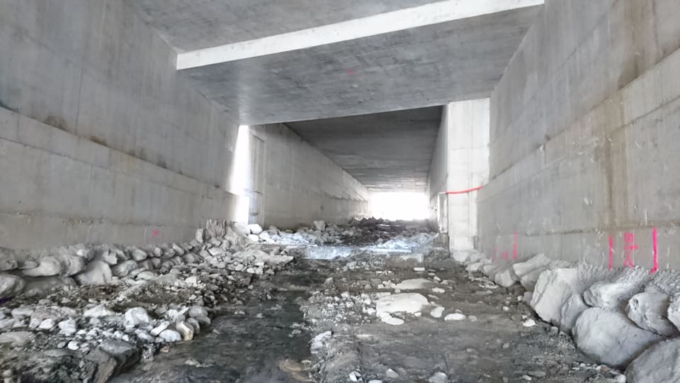 Sguard en il tunnel cun stgalims per ils peschs.