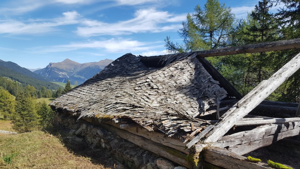 In bajetg d'alp en decadenza