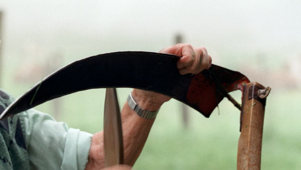 In pur è vida trair si la fautsch - ins vesa mo la part sura da la fatsch ed ils mauns dal pur.