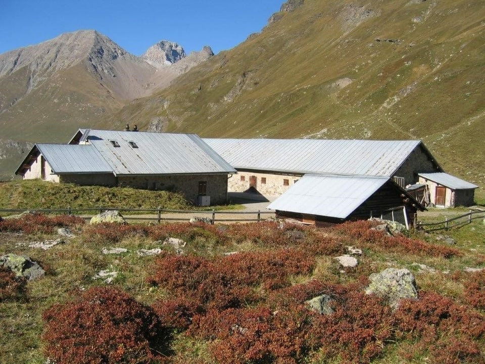 Novs lieus da pernottar sin la ruta dal Parc Ela Trek: Alp d'Err.