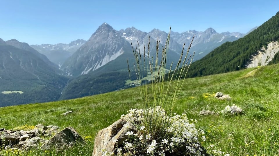 Berglandschaft