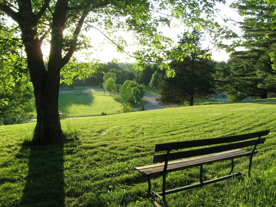 Banc en in parc