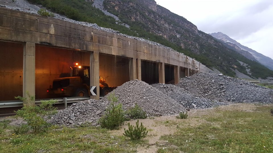 Ina da las quatter bovas a Livigno.