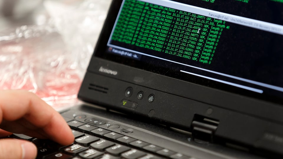 Ina persuna è vi d'in computer.
