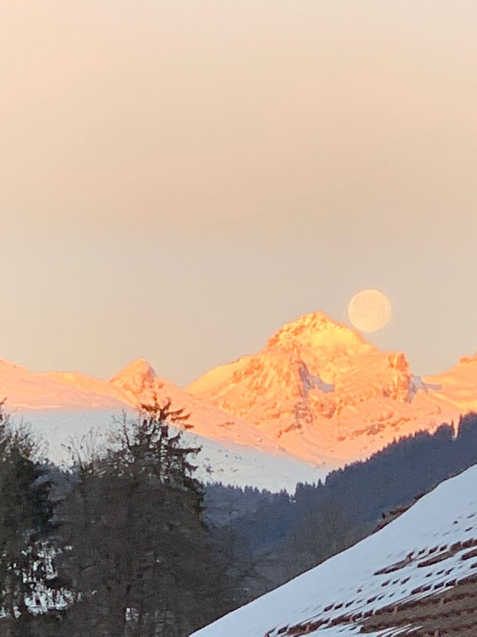 Schlifras
