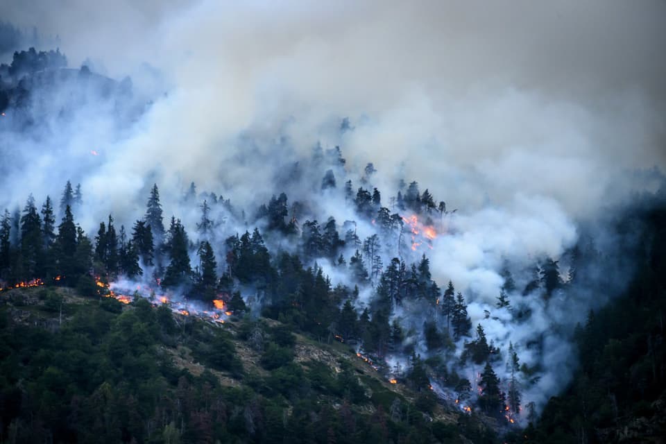 Waldbrand in Bitsch, VS.