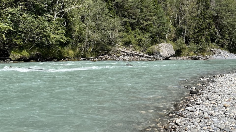 Rheinschlucht