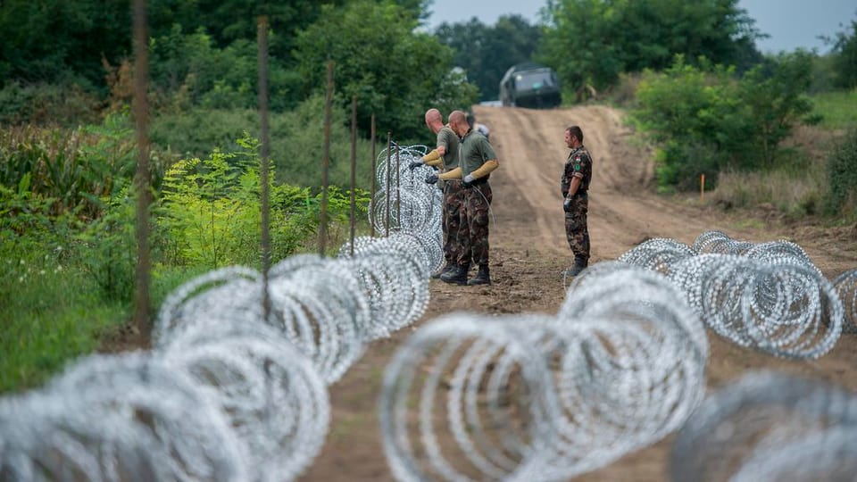 Schuldada ungaraisa montescha fildarom.