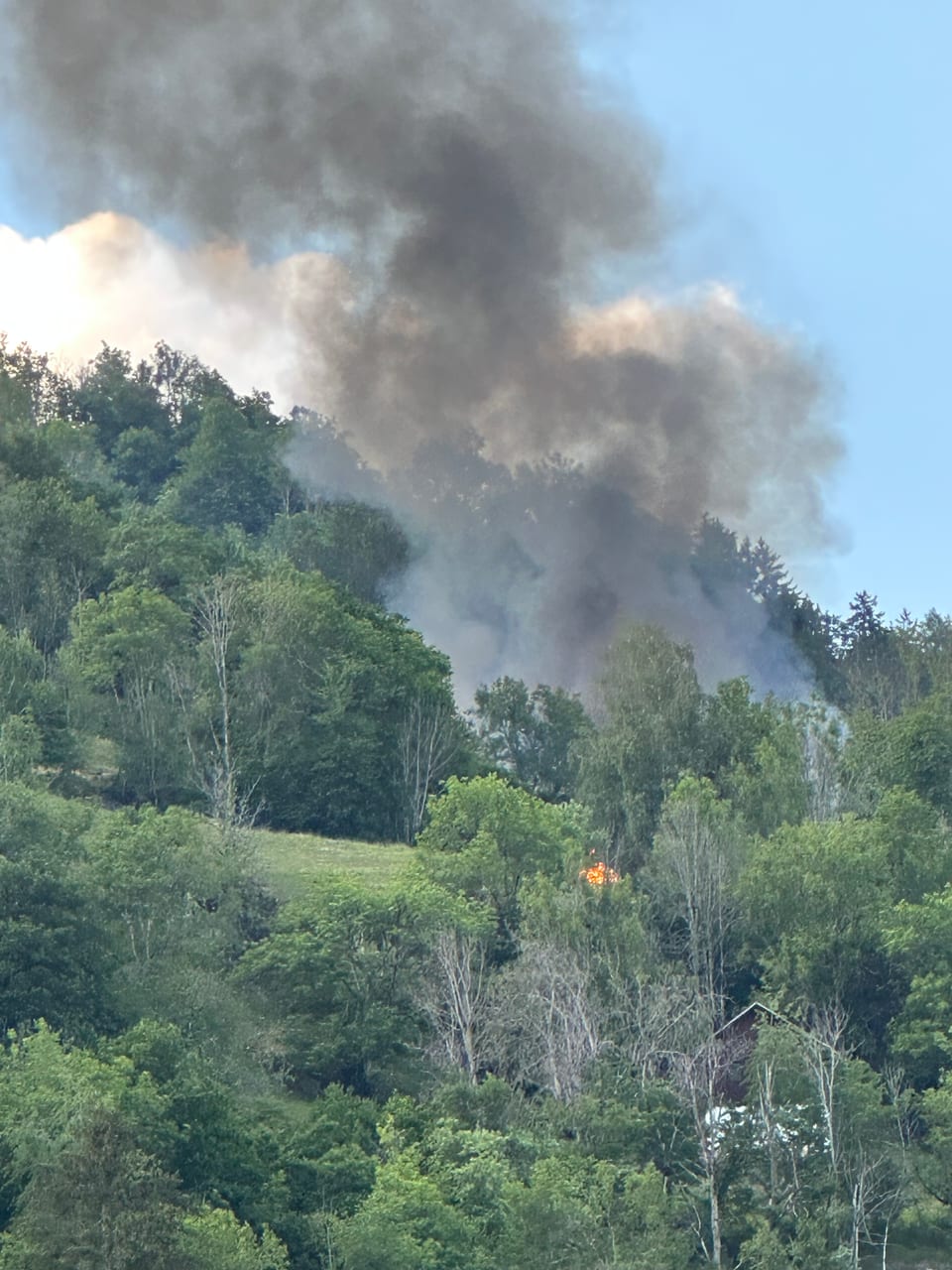 Brand