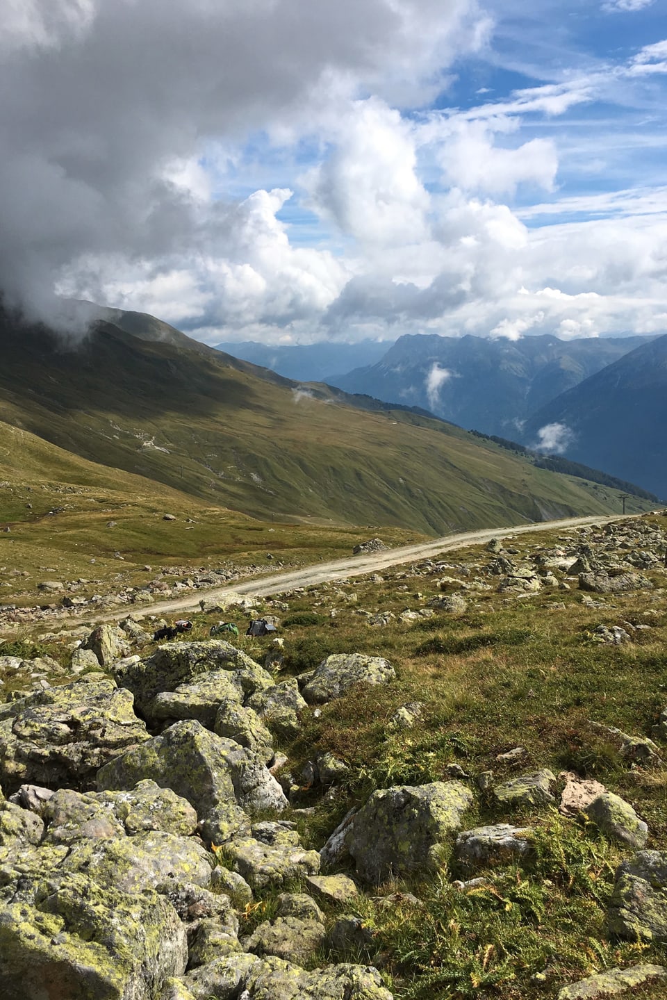 Qua creschan ils chastagnins da record – Val alpina.