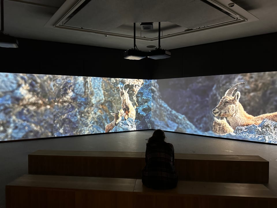 Ausstellung im Zentrum des Nationalparks