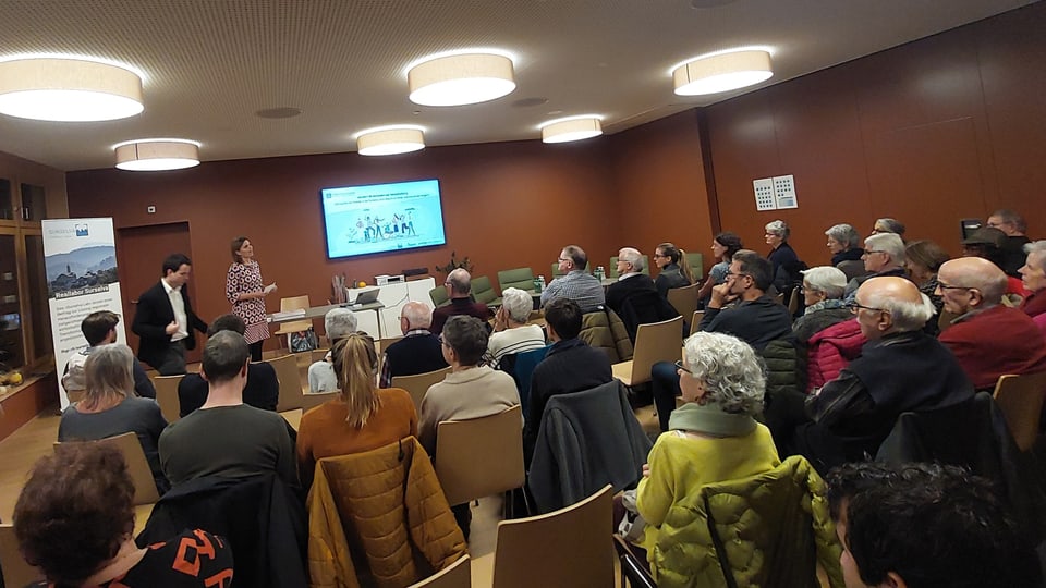 Infurmaziun sur da la demografia en Surselva