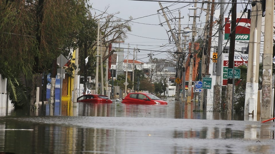 Purtret da Puerto Rico. 