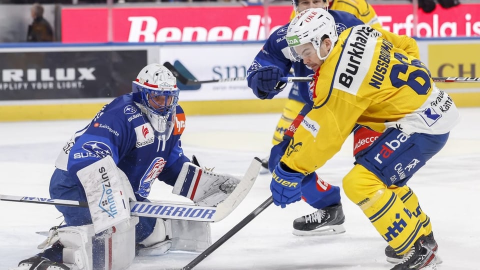 HCD – ZSC Lions