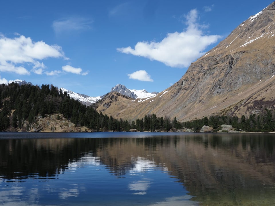 Panorama d'in lai cun culms ed guaud davostiers.