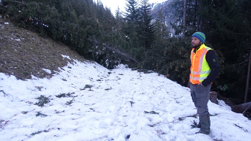 Per Urs Fliri, il schef da gestiun dal revier forestal Alvra datti ussa bler da far.