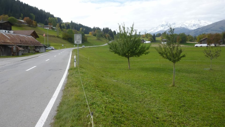 Via che sto vegnir sanada.