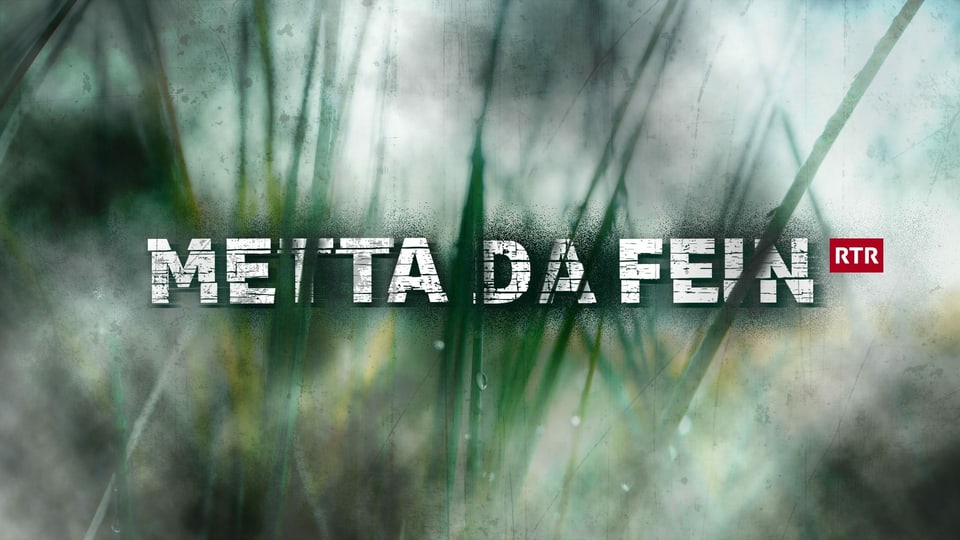 Metta da fain