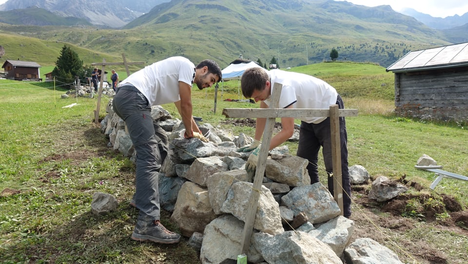 Impressiuns da la construcziun d'in mir sitg sin l'Alp Flex.