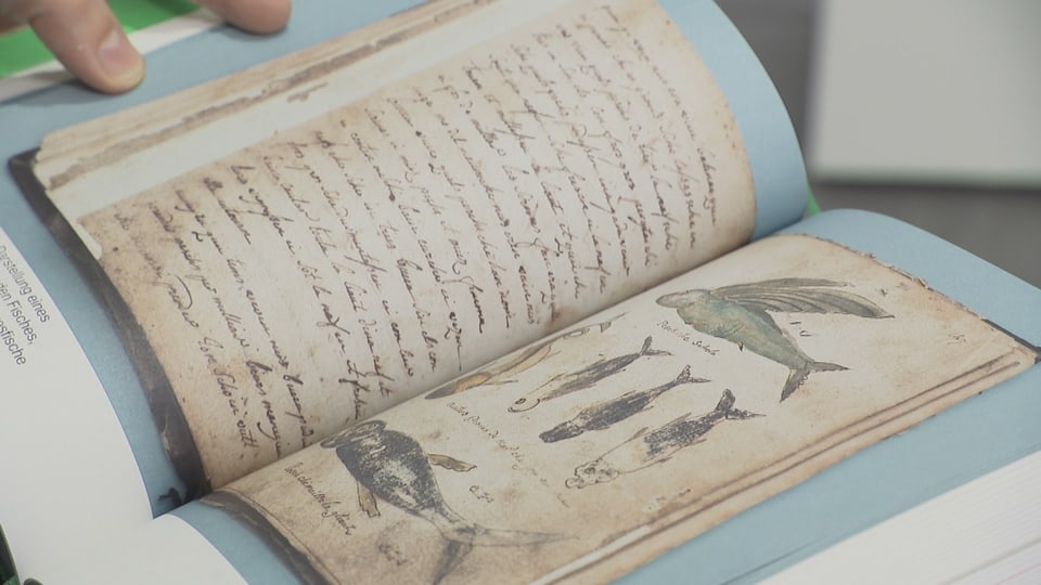 Reisetagebuch historisch 1765 Collenberg Mauritius «Wie Sprache die Welt erfindet» Ausstellung Kunstmuseum Chur