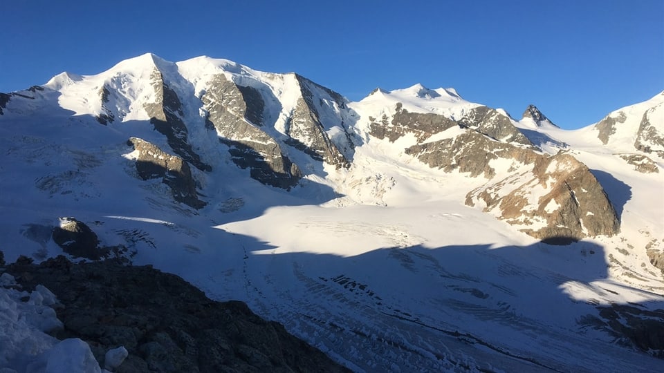 Purtret dal Piz Palü.
