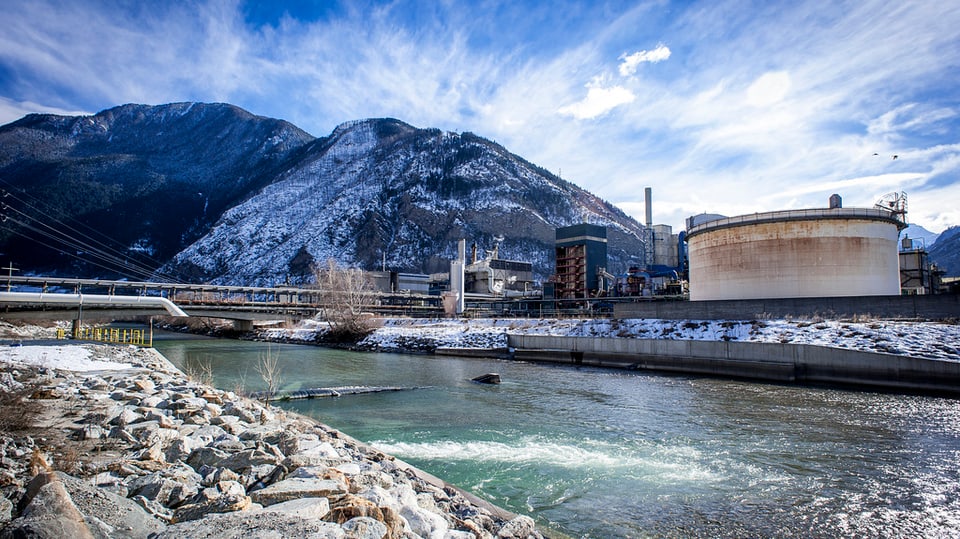Il bajetg da l'interpresa responsabla per la contaminaziun, Lonza.