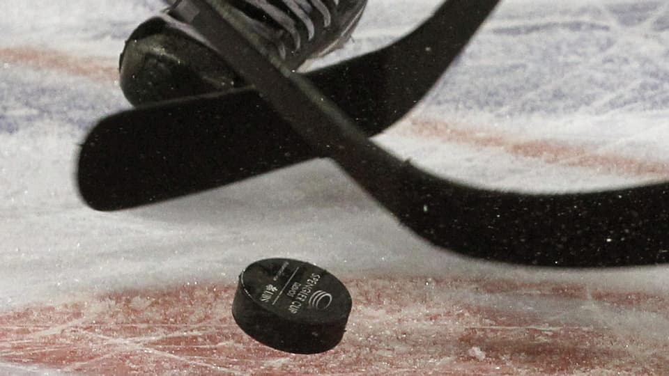 Puck da hockey.