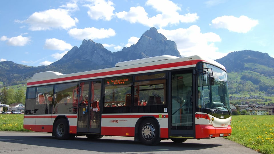 Bus.