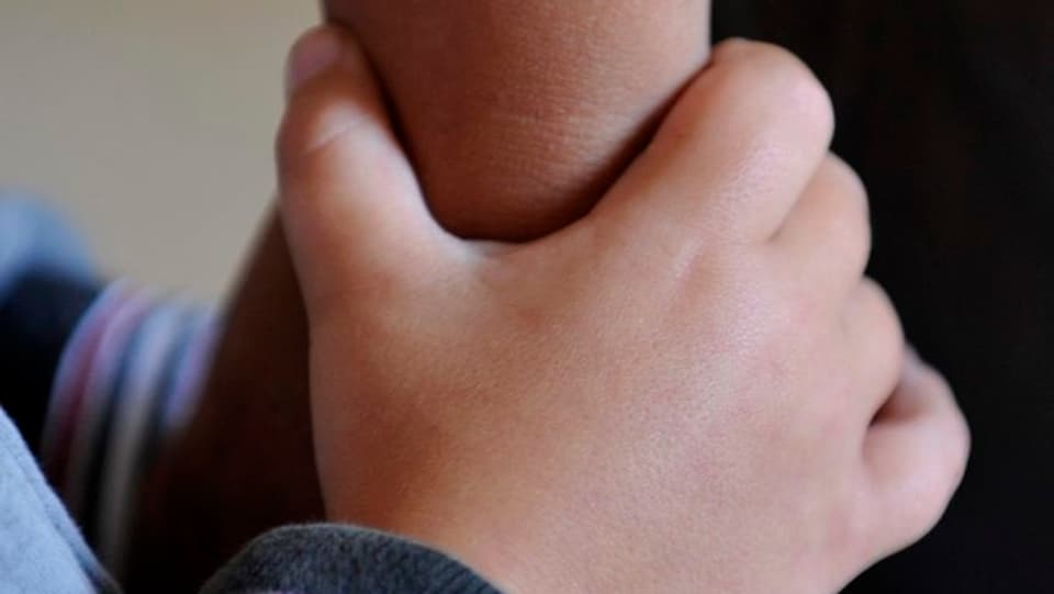 15 chantuns fan part dal concordat Harmos ch'aspirescha in'armonisaziun da la scola populara.