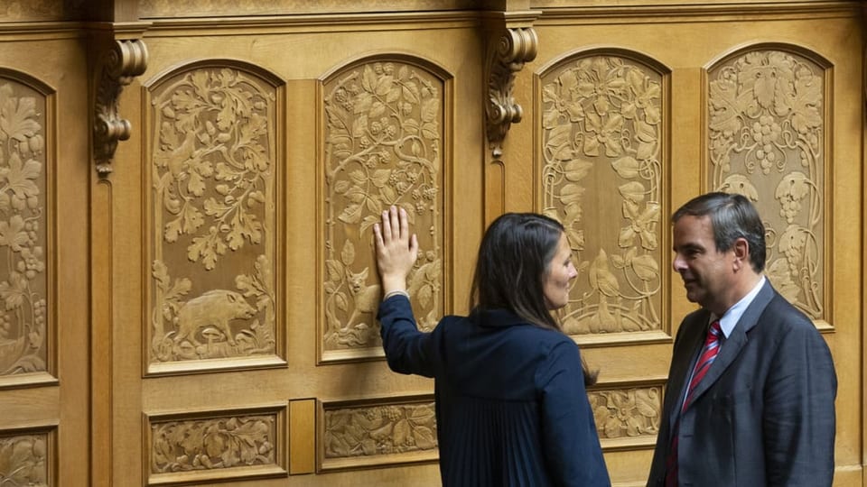 purtret dals dus politichers en discurs en il parlament. 
