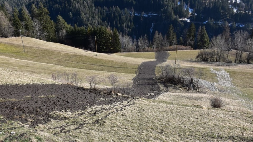 Schmitten Albula: Gewässerverschmutzung durch Jauche