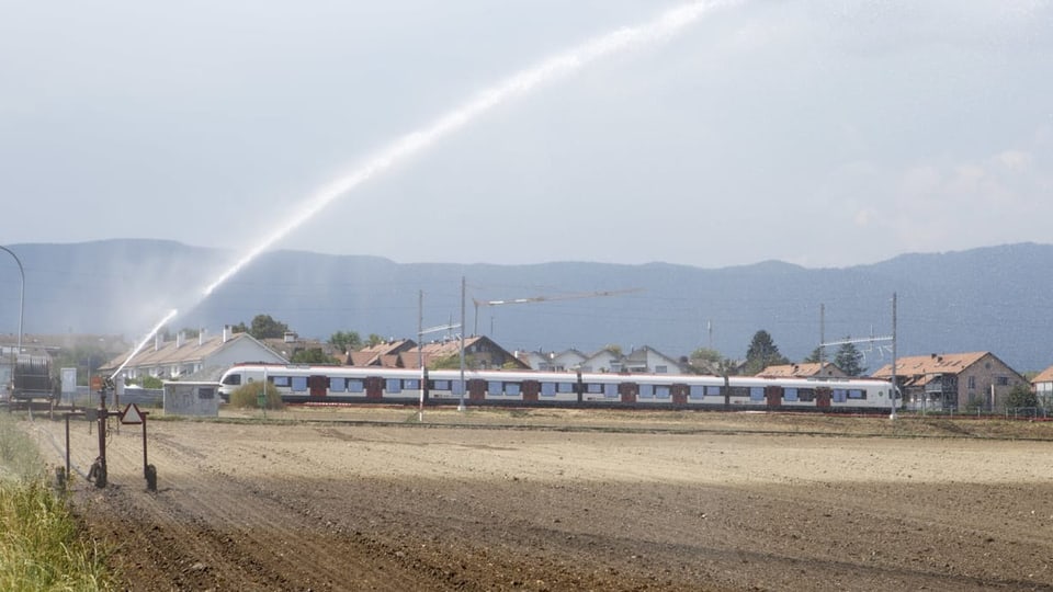 Foto da la setgira ed in prà che vegn schuà