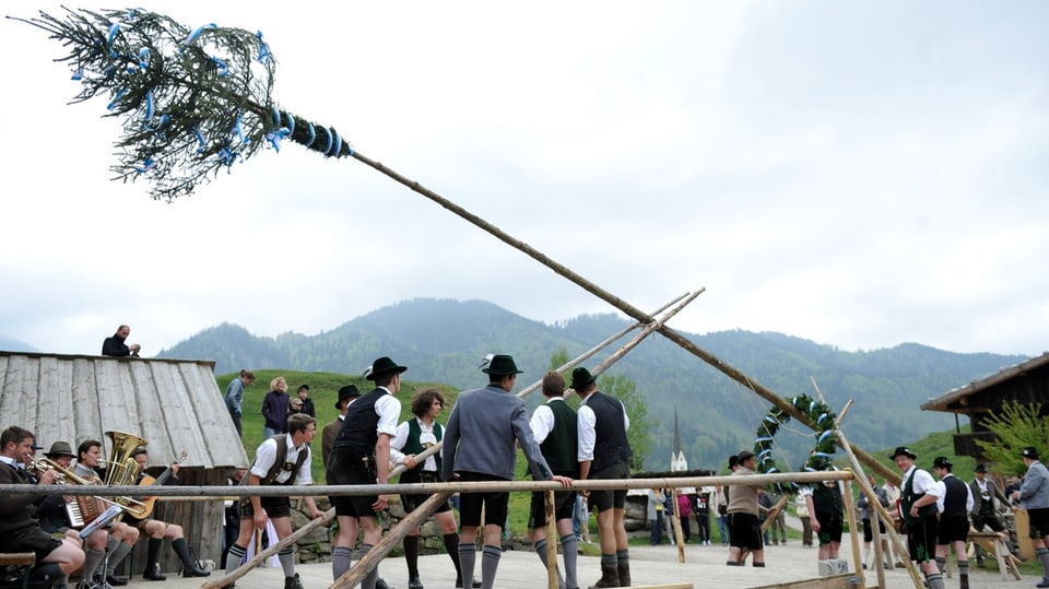 Männer stellen den Maibaum auf