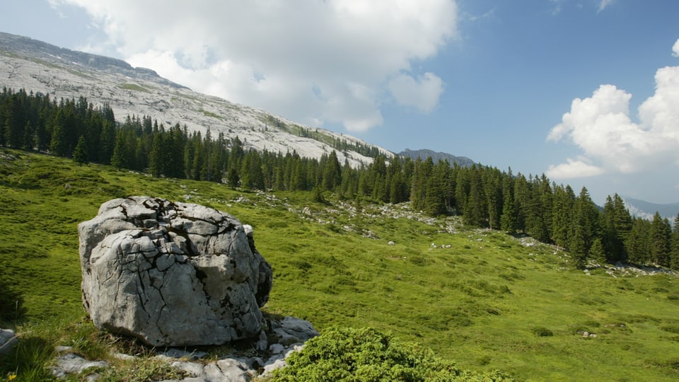 palì ata