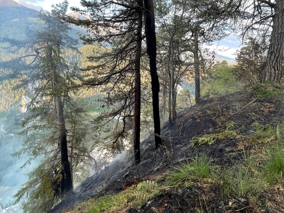 Unter Flims hat es in steilem Gelände gebrannt