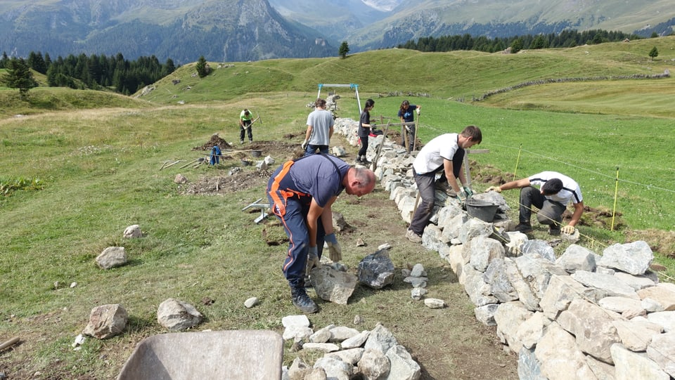 Impressiuns da la construcziun d'in mir sitg sin l'Alp Flex.