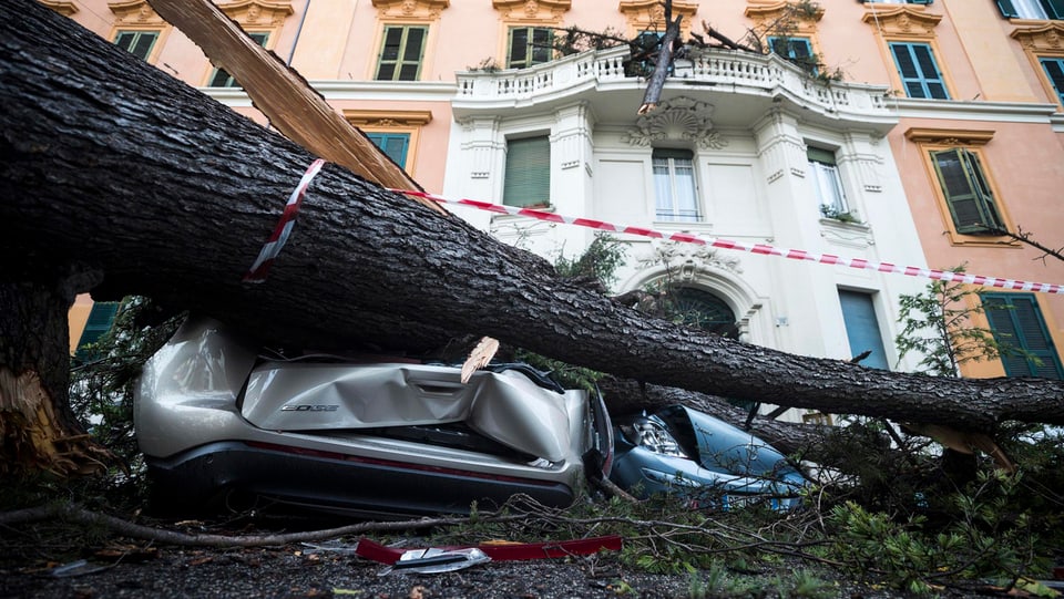 Auto sut ina plonta derschida davant ina chasa bella e gronda a Roma. 