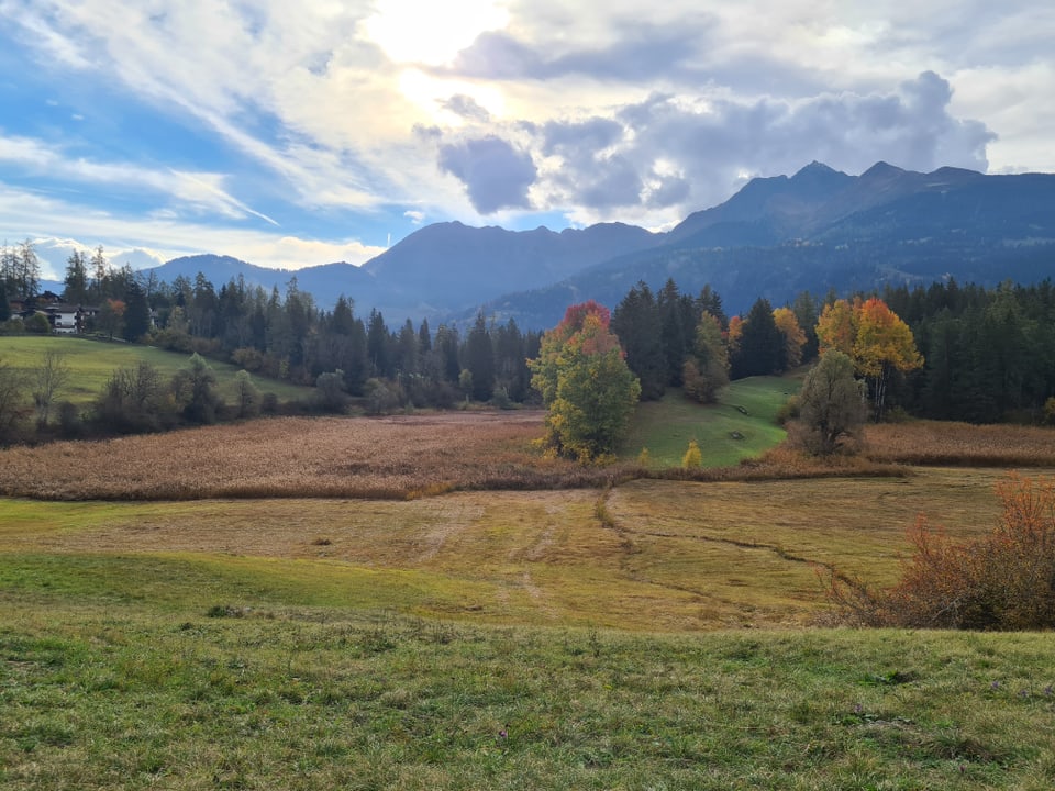 Il lai dal Oberst è per gronda part ina palì. 