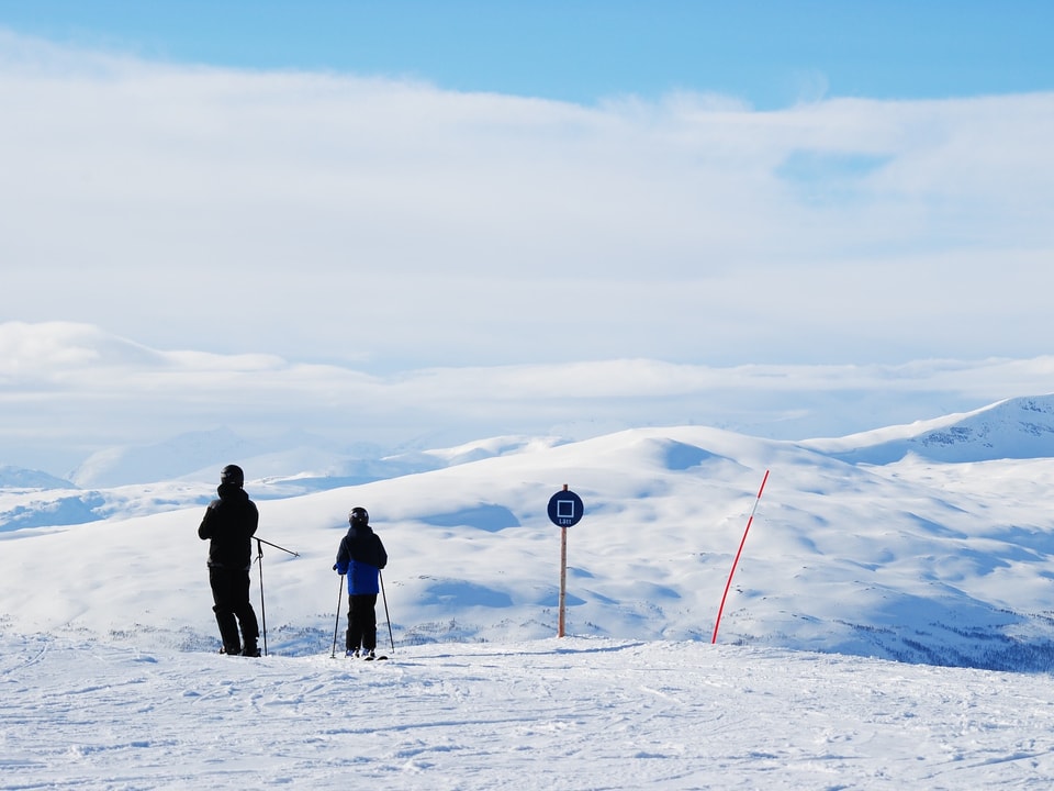 Ir cun skis