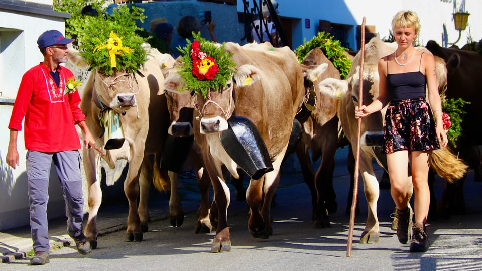 Alpabzug in Brigels