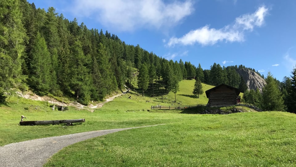 Via en la regiun da Funtanolja sin bun 1500 m.s.m.