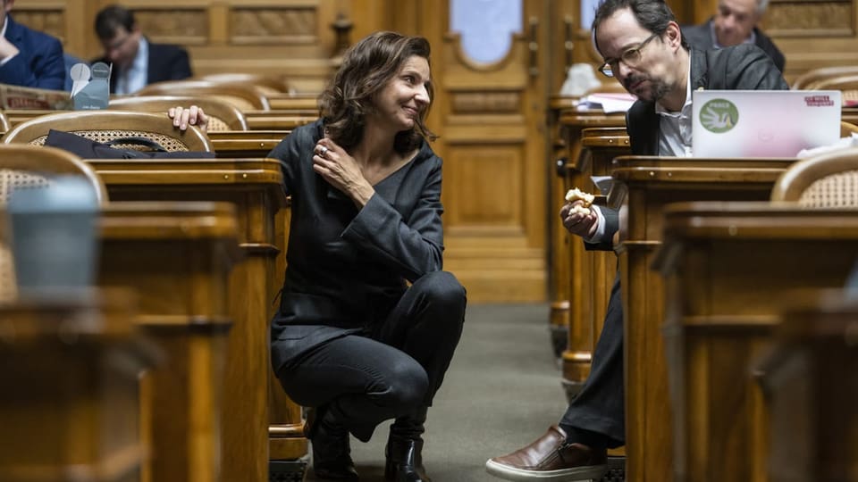 Bler dal medem avis: Gabriela Suter (PS) e Balthasar Glättli (Verds).